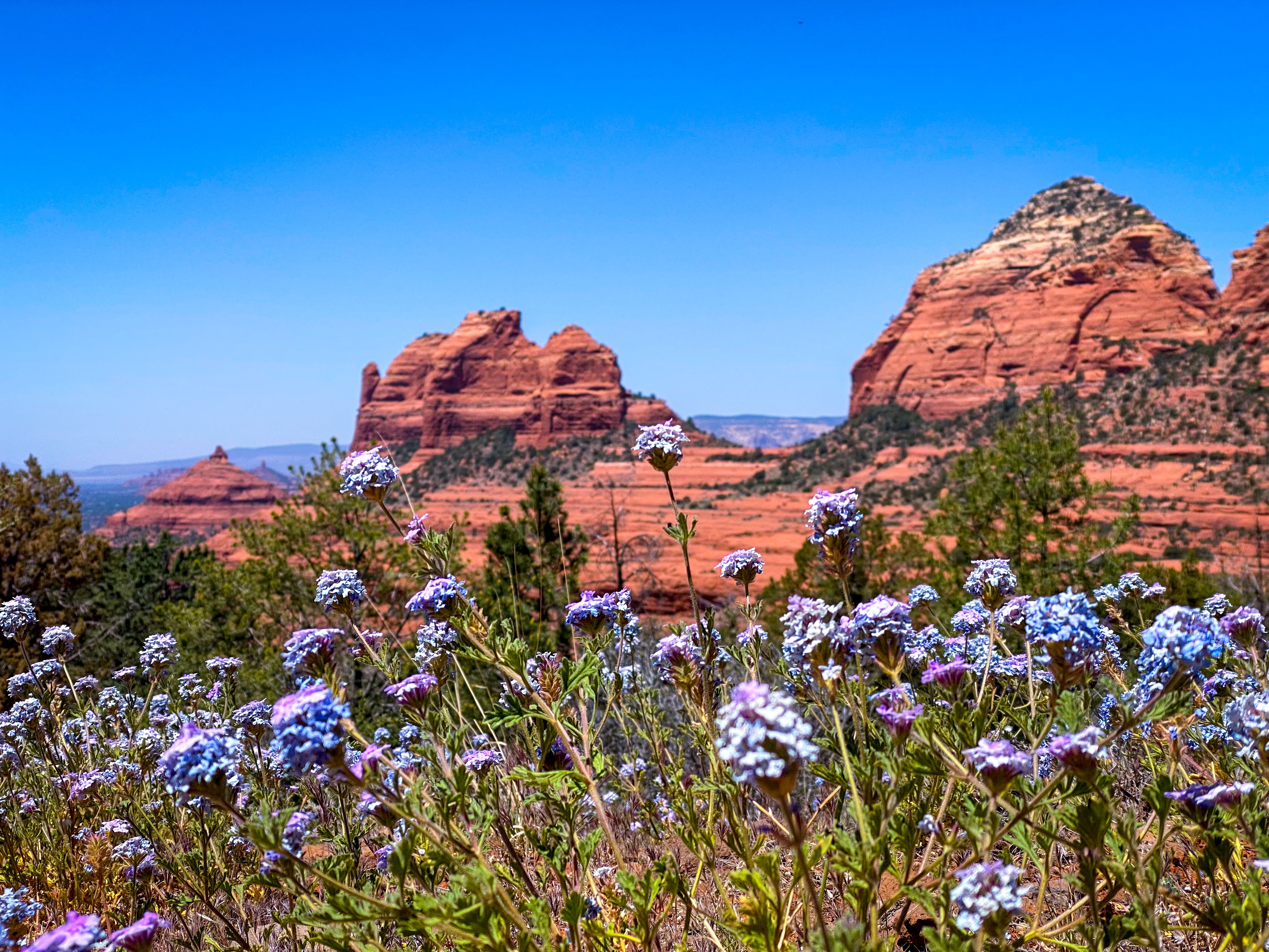 Sitemapcdatahttpsthereferenznetgoodyear Az To Sedona Aznull